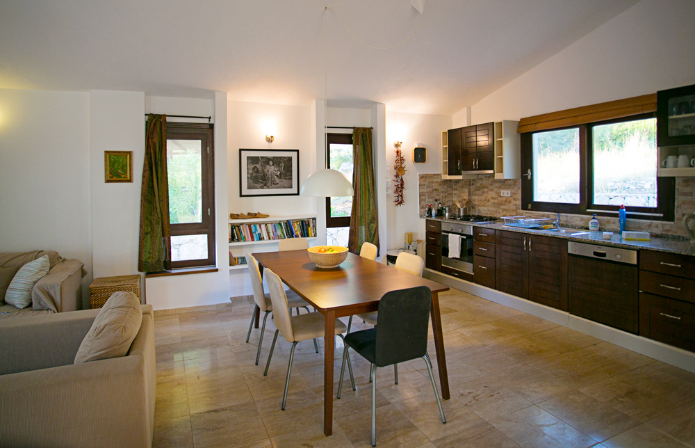 Open-plan kitchen and dining